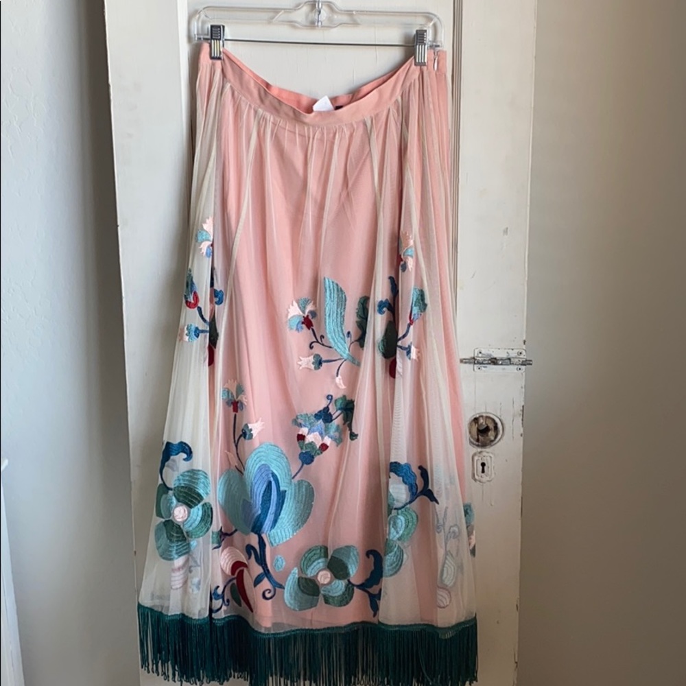 Embroidered Anthro Skirt